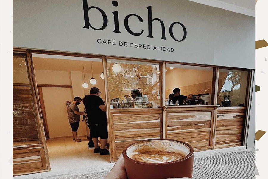 Bicho Café de especialidad Medifé